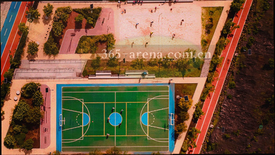 数据面板中的近五场条形图和交锋记录表